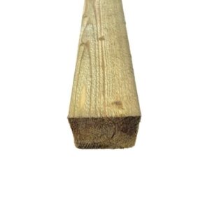 Pruss 150 x150 immutatud roheline