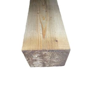 Pruss 200 × 200 immutatud roheline