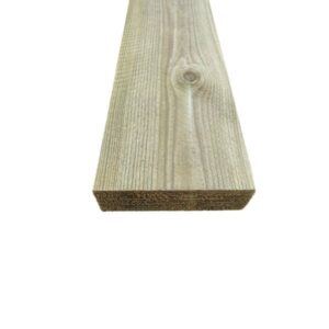 Pruss 50 × 200 roheline