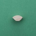 Puidust klaasiliistu profiil