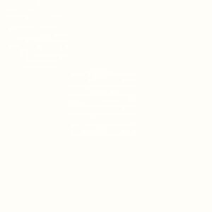 EGGER Alpine White W1100 PM Javicar