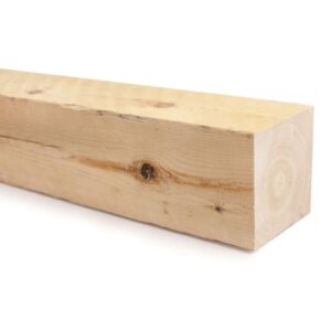 Pruss kuivatatud 100x100 - Javicar