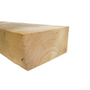 Pruss kuivatatud 100x150 - Javicar